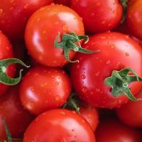 Salsa de tomate casera con Robot de Cocina (Receta básica)