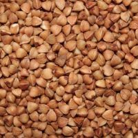Pan de Trigo Sarraceno. Propiedades