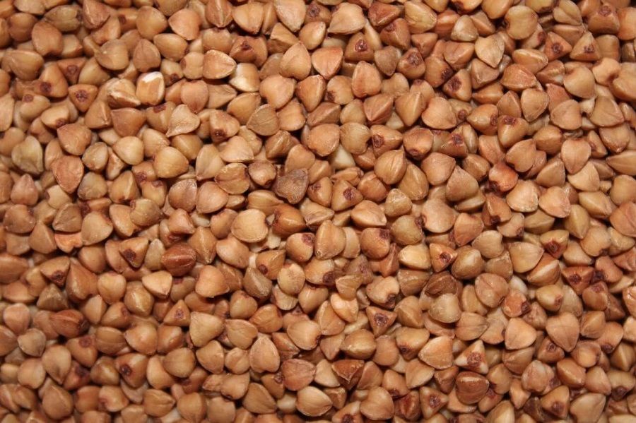 Granos de trigo Sarraceno